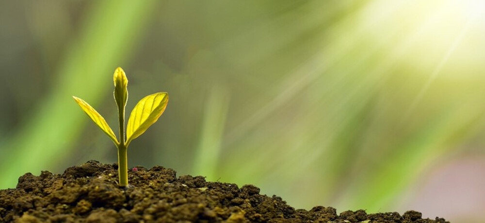 La société à mission