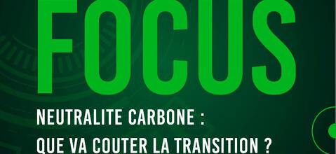 NEUTRALITE CARBONNE : QUE VA COUTER LA TRANSITION ?