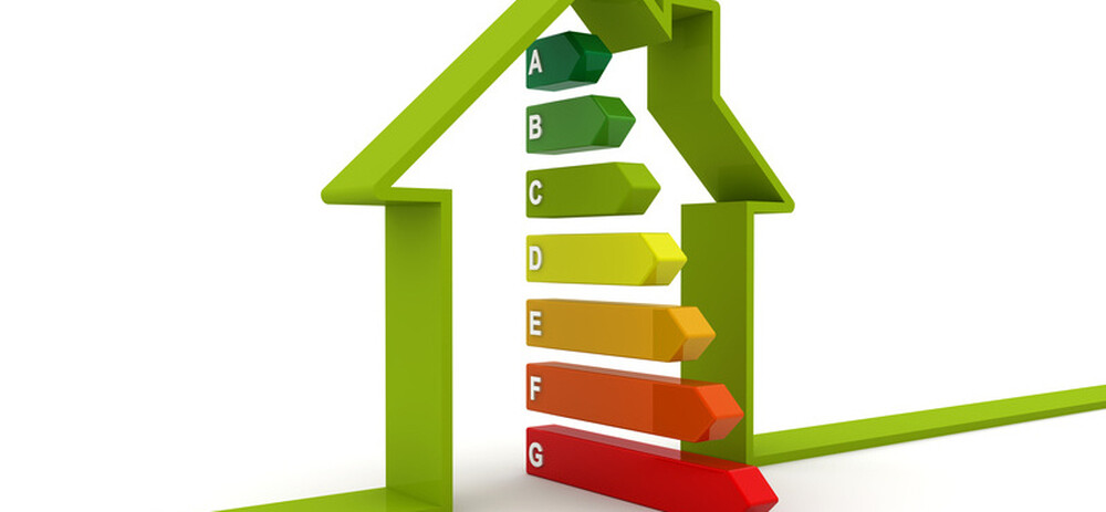 TRAVAUX DE RENOVATION